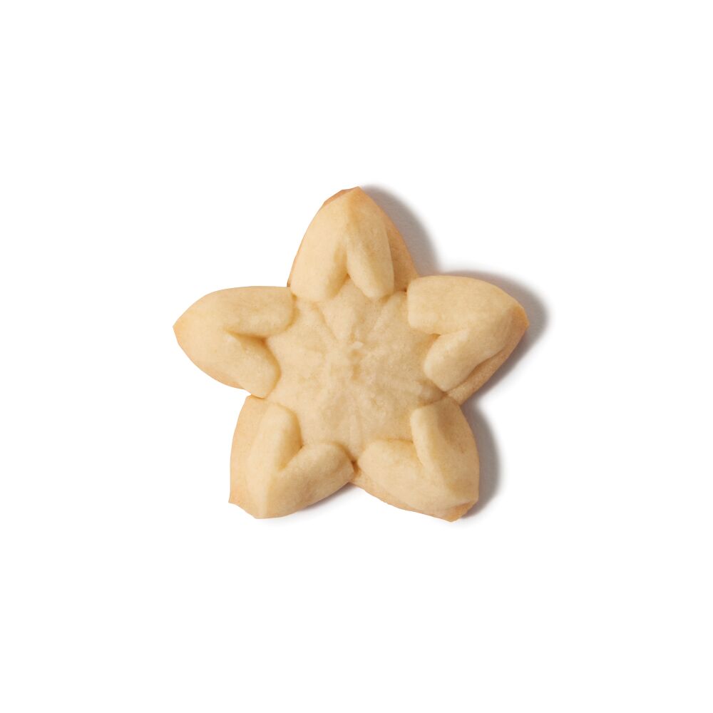 Christmas Cookie Press Disk Set R4