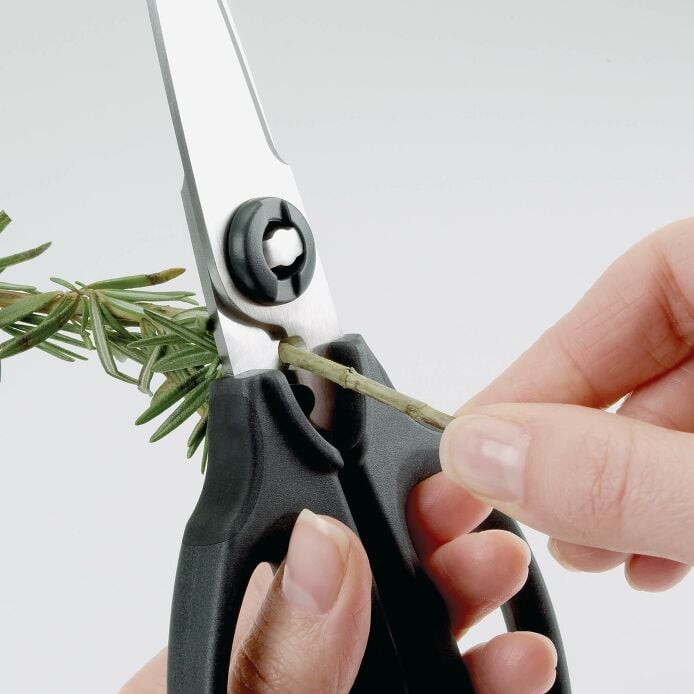 Kitchen And Herb Scissors G0