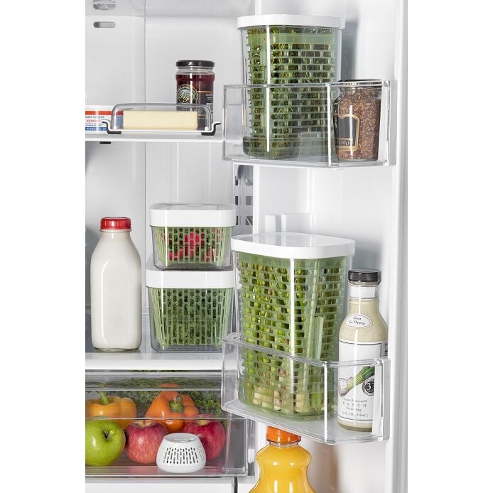 GreenSaver Standing Crisper Insert - 1 Pc S3