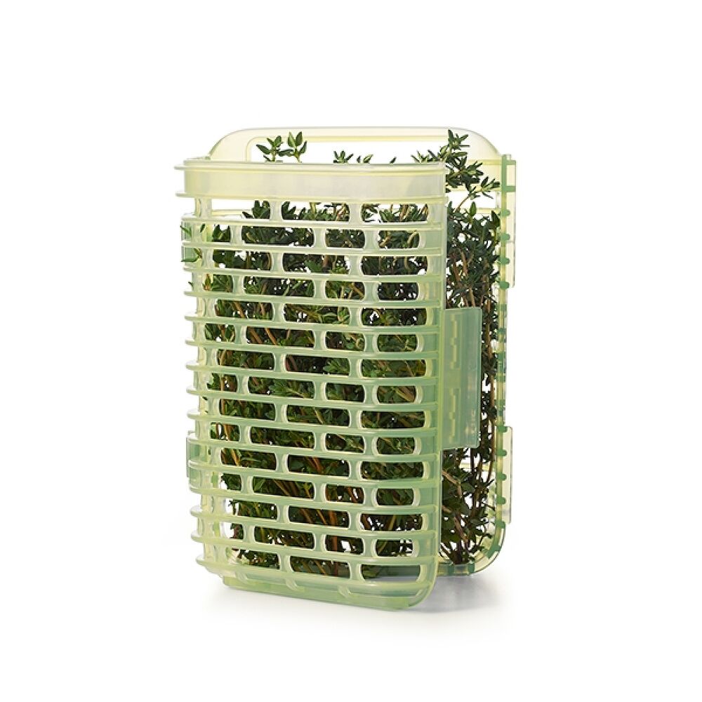 GreenSaver Herb Keeper - Small P3