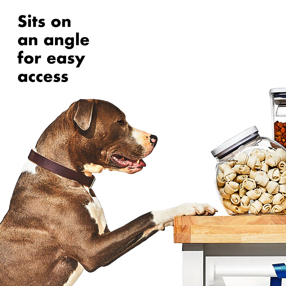 OXO Good Grips Pet POP Container – 3.0 Qt/2.8 L L2