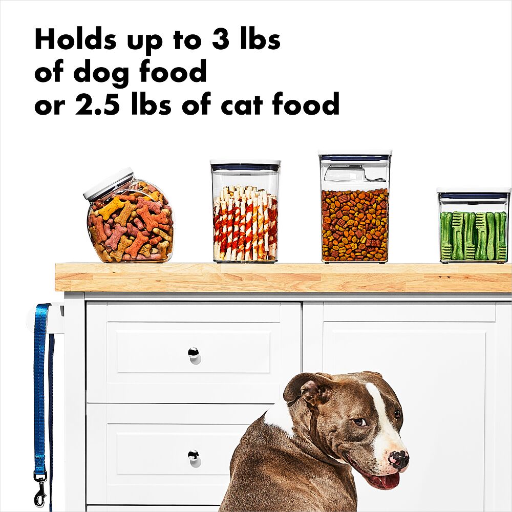 OXO Good Grips Pet POP Container – 3.3 Qt/3.1 L B7