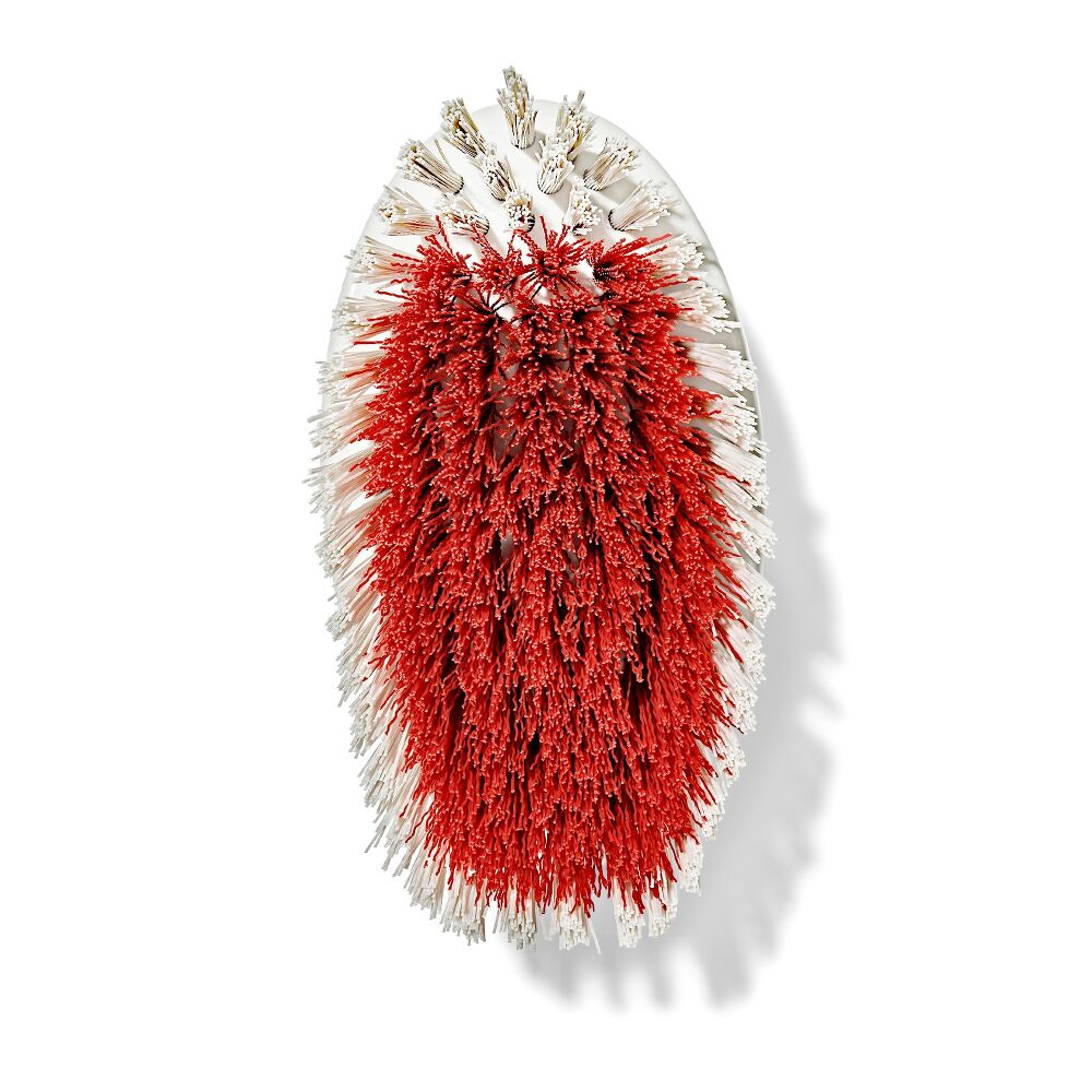 All-Purpose Scrub Brush 2-Pack D7