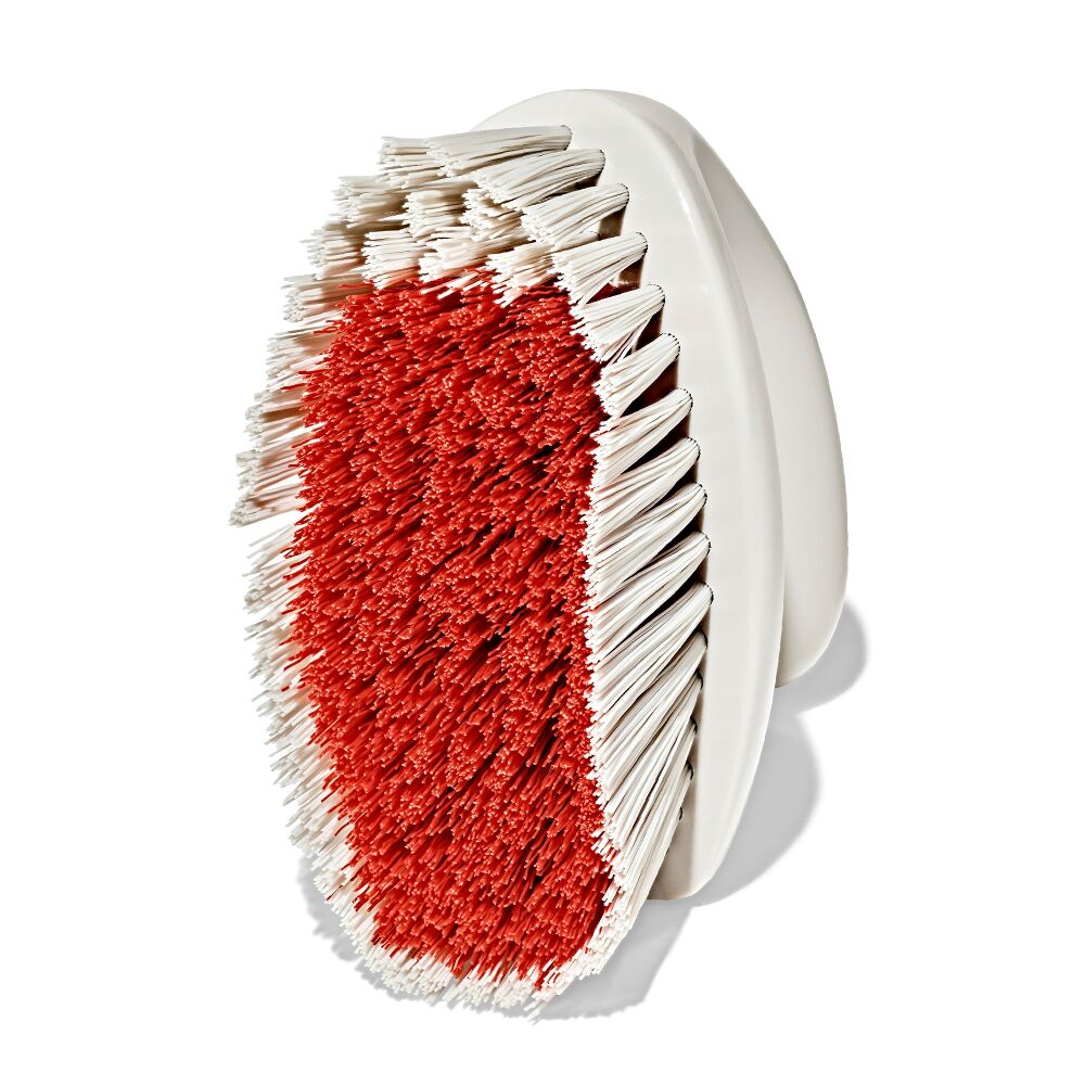 All-Purpose Scrub Brush 2-Pack D7