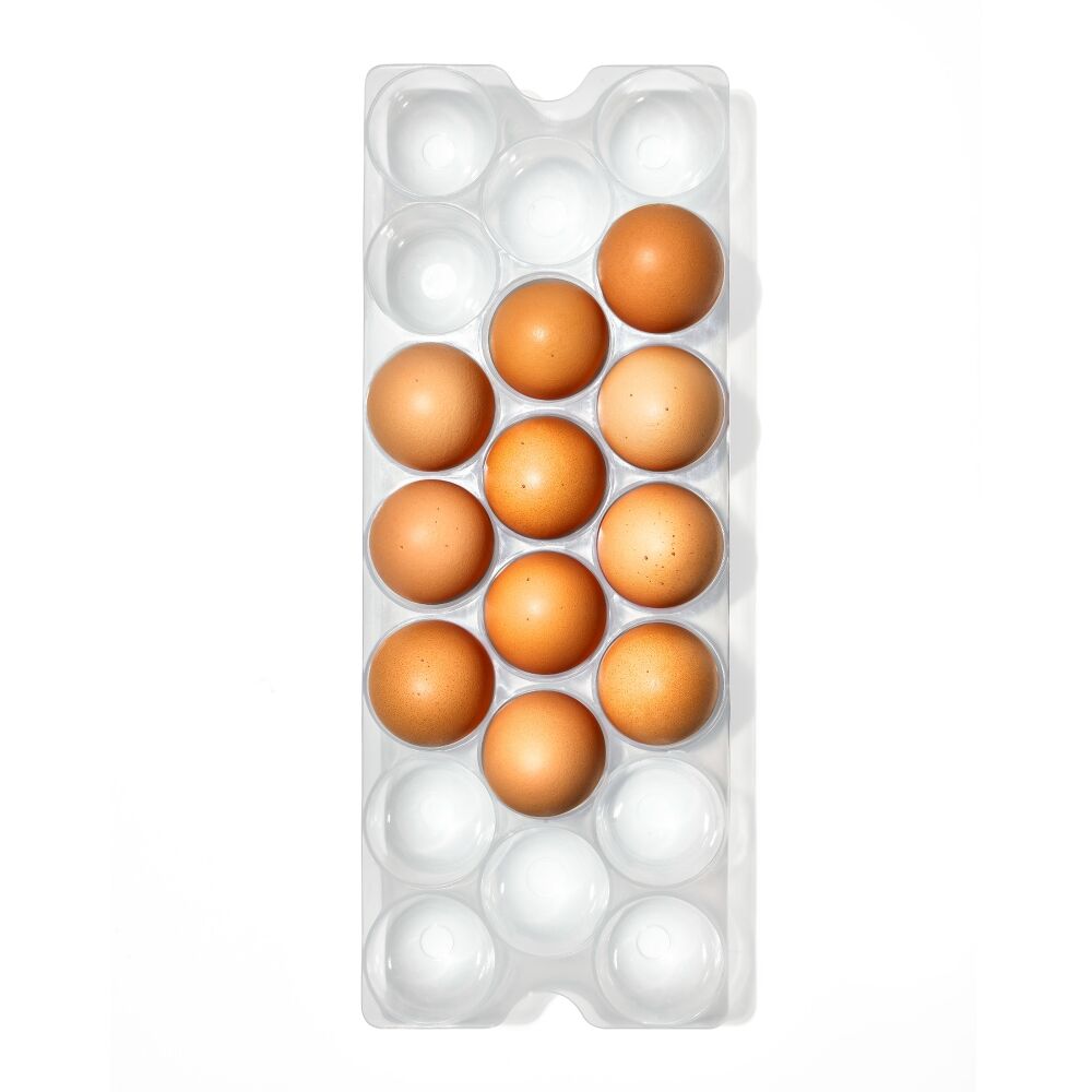 Refrigerator Egg Bin With Removable Tray S7