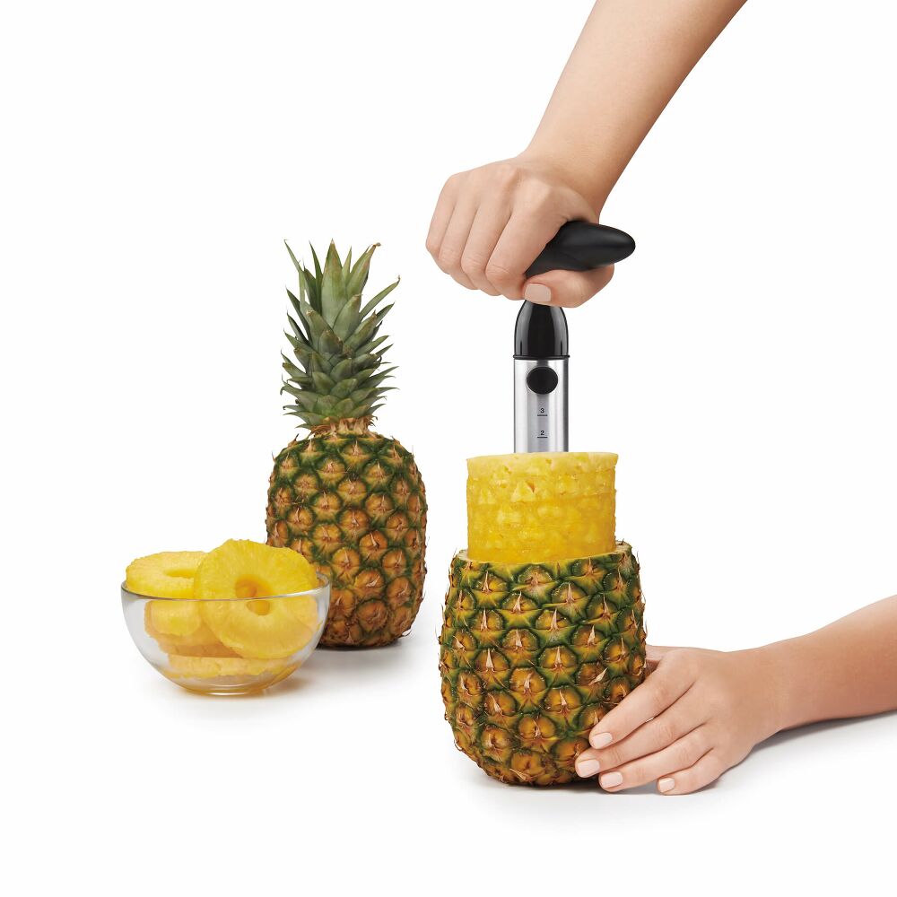 Stainless Steel Pineapple Slicer L9