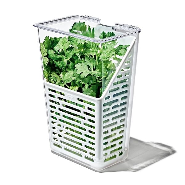 Produce Saver - Herb Keeper T1