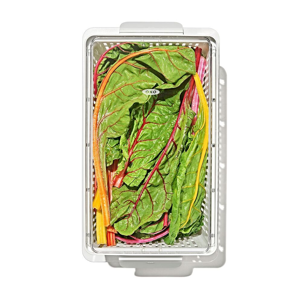 Produce Saver - Large Bin A2