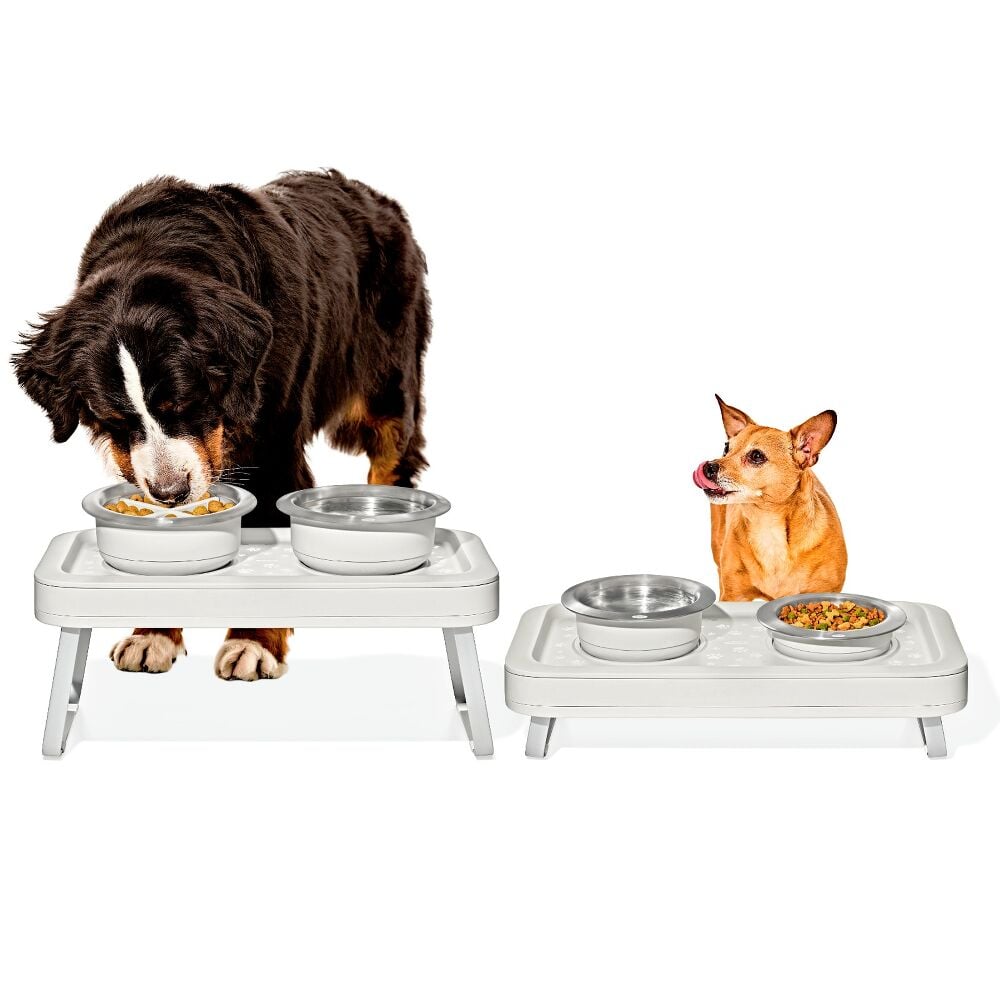 OXO Pet Adjustable Elevated Feeder T3