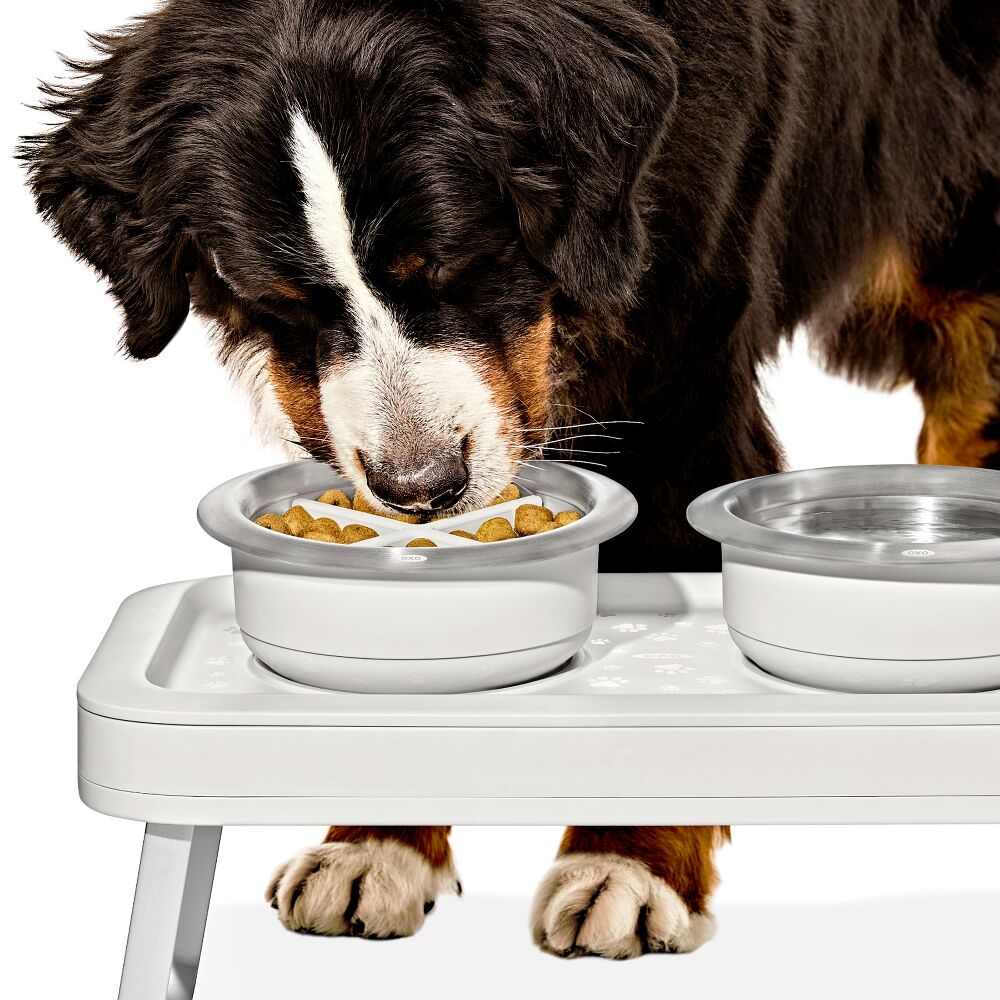 OXO Pet Easy-Clean Slow Feeder - Large, 4 Cups/950 ml B4