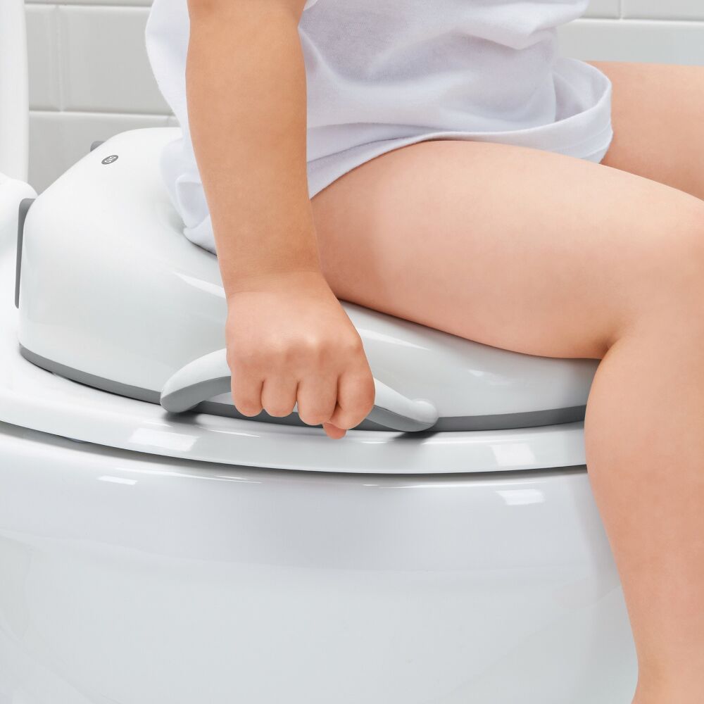 Sit Right Potty Seat - Gray D4