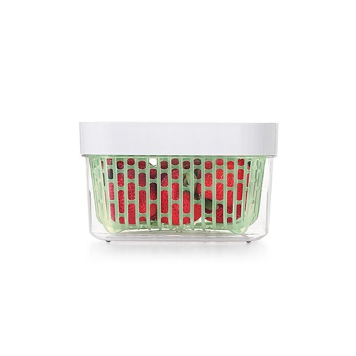 GreenSaver Produce Keeper (1.6 Qt) E6