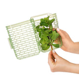 GreenSaver Herb Keeper - Small P3