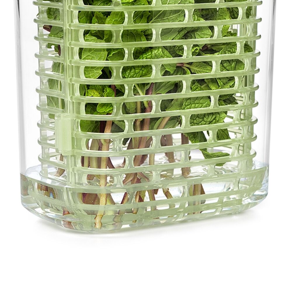 GreenSaver Herb Keeper - Small P3