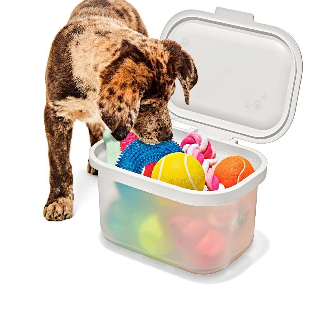 OXO Pet Multi-Purpose Container G4
